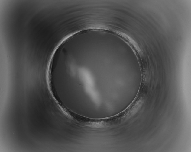 X0000087701125200705111358