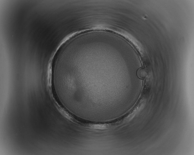 X0000087701126200705111358