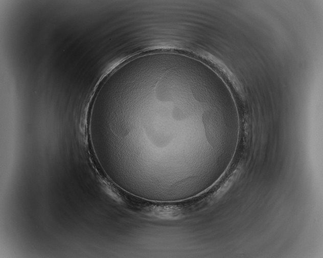 X0000087701129200705111358