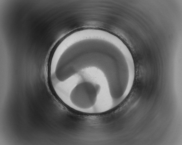 X0000087701130200705111358