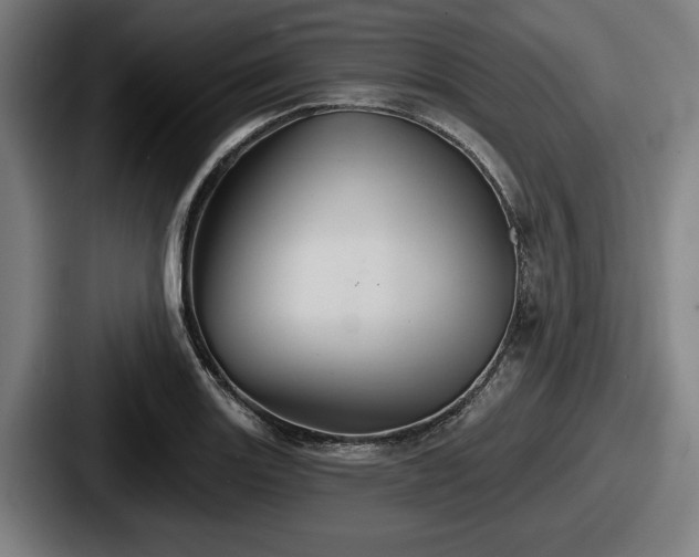 X0000087701131200705111358