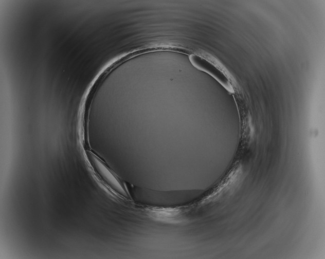 X0000087701132200705111358