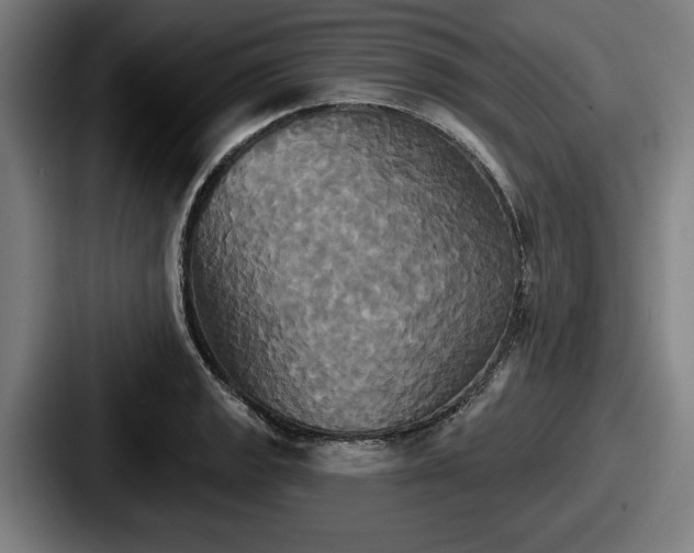 X0000087701133200705111358