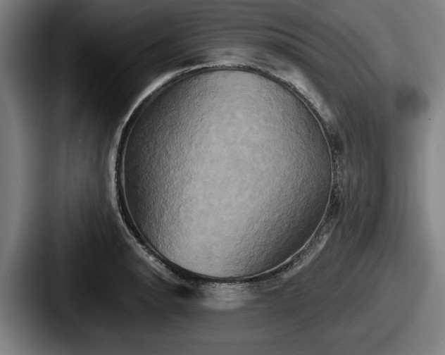 X0000087701134200705111358