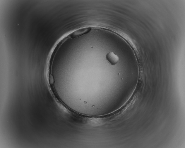 X0000087701136200705111358