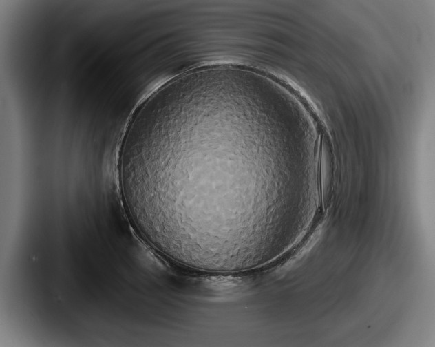 X0000087701137200705111358