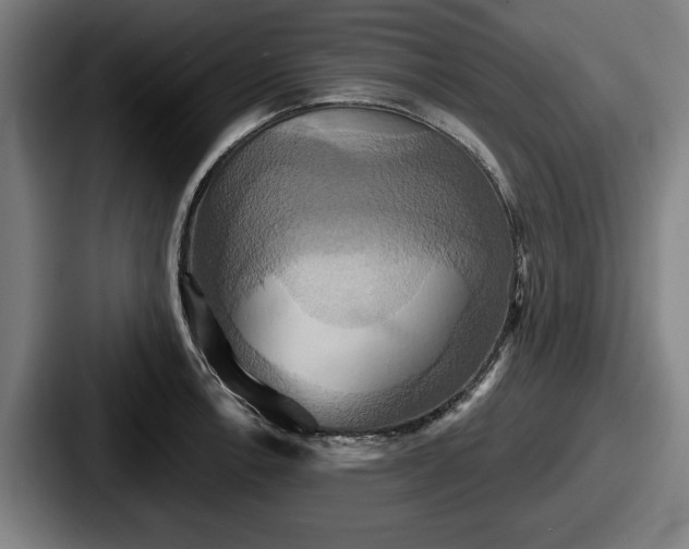 X0000087701138200705111358