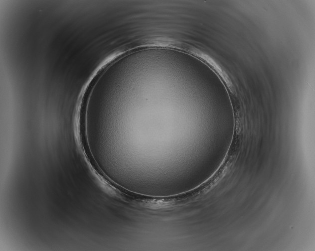 X0000087701139200705111358