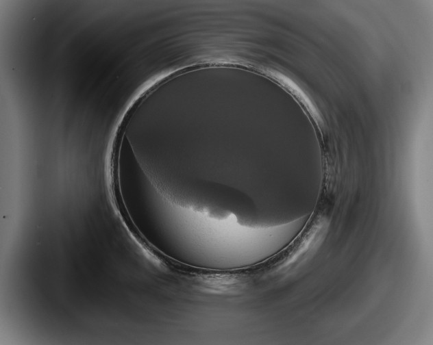 X0000087701141200705111358