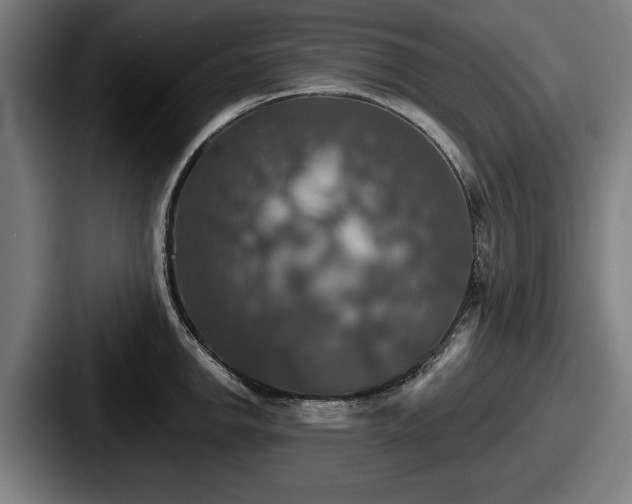 X0000087701142200705111358