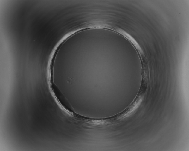 X0000087701144200705111358