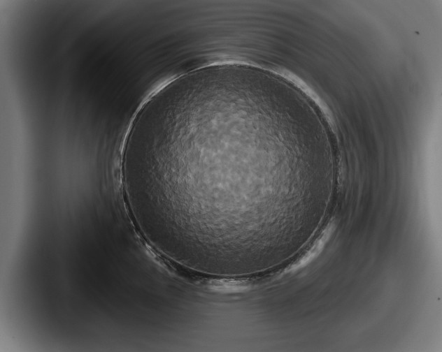 X0000087701145200705111358