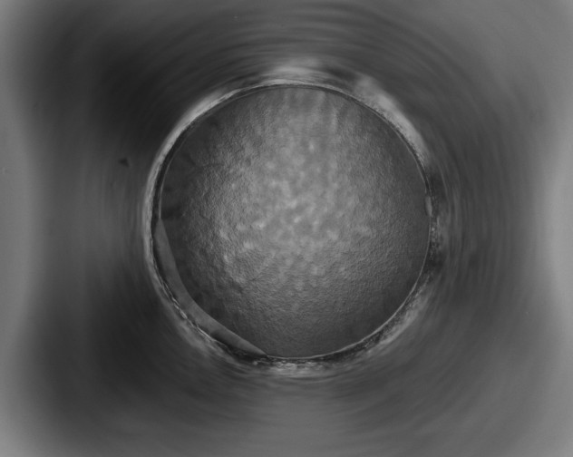 X0000087701146200705111358