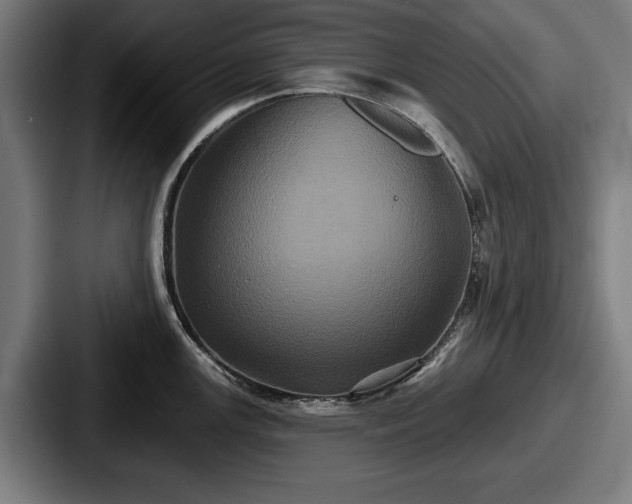 X0000087701147200705111358