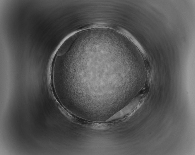 X0000087701148200705111358