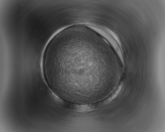 X0000087701149200705111358