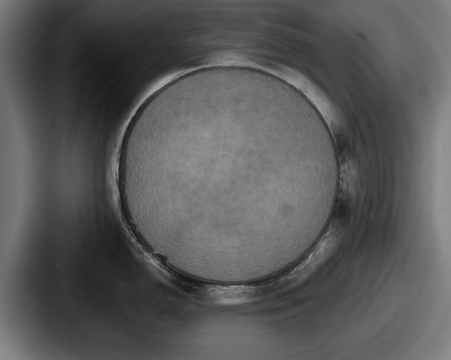 X0000087701150200705111358