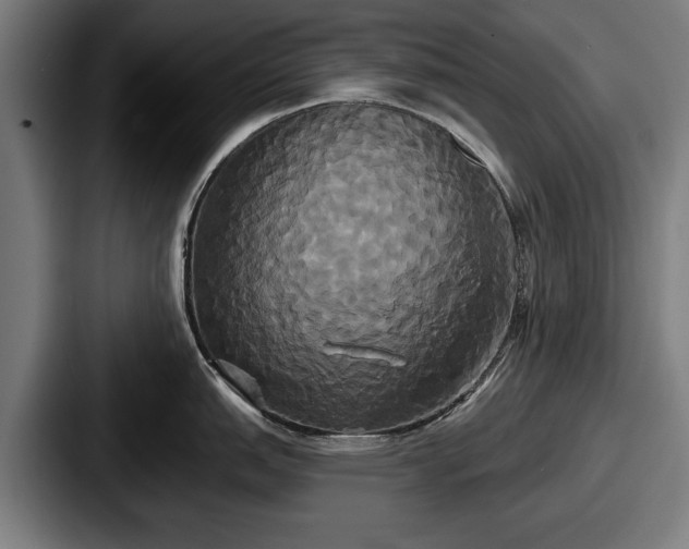 X0000087701151200705111358