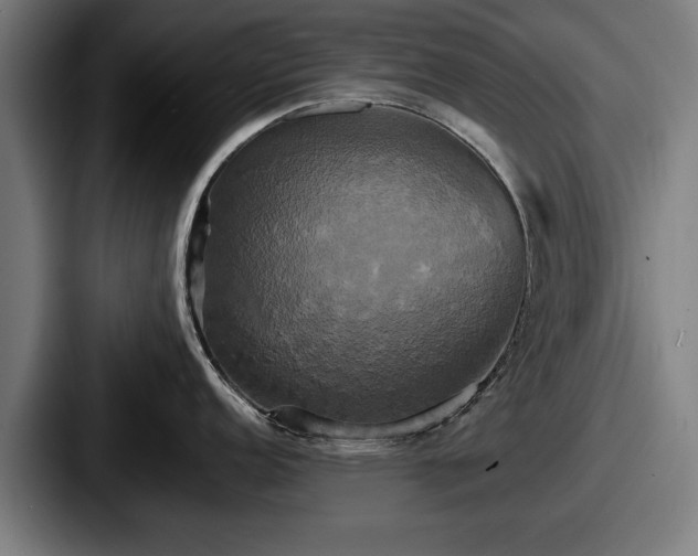 X0000087701152200705111358