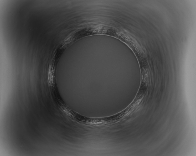 X0000087701154200705111358