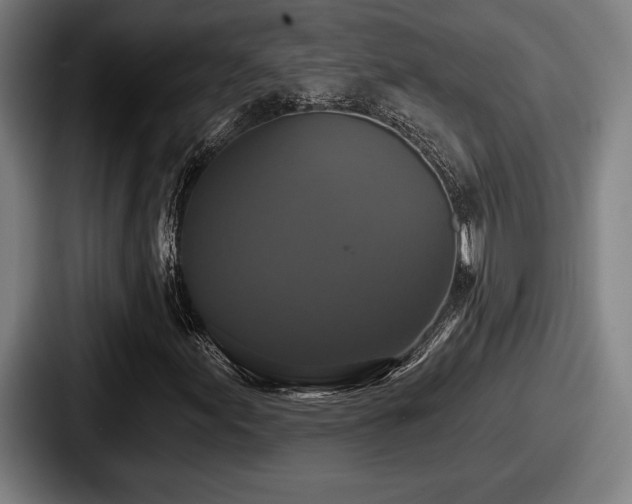 X0000087701155200705111358