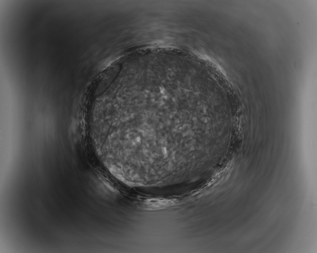 X0000087701159200705111358