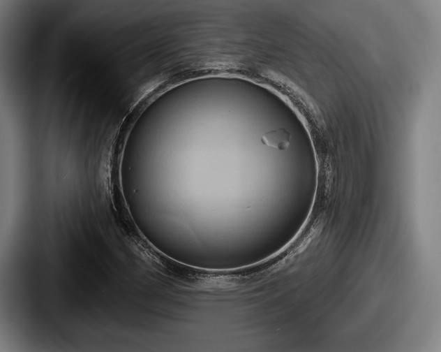 X0000087701162200705111358