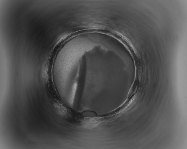 X0000087701163200705111358