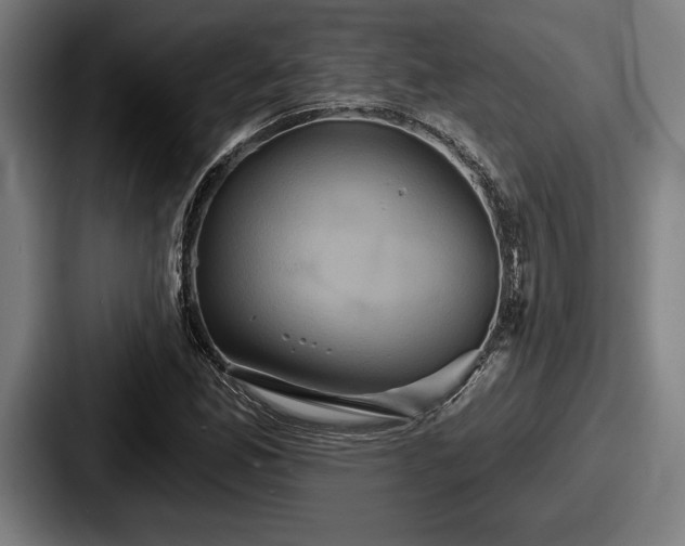 X0000087701165200705111358