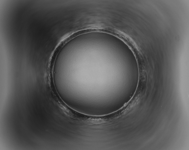 X0000087701168200705111358