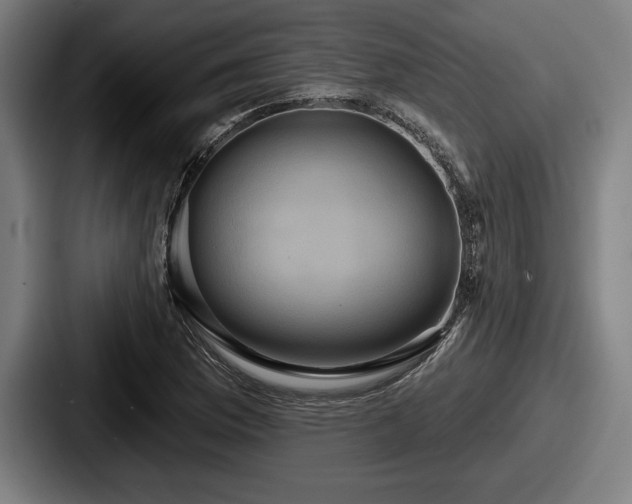 X0000087701169200705111358