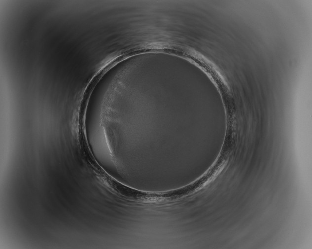 X0000087701170200705111357