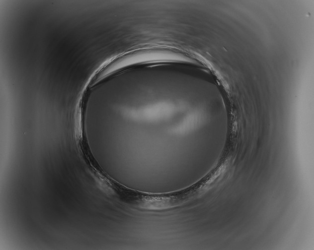 X0000087701171200705111357