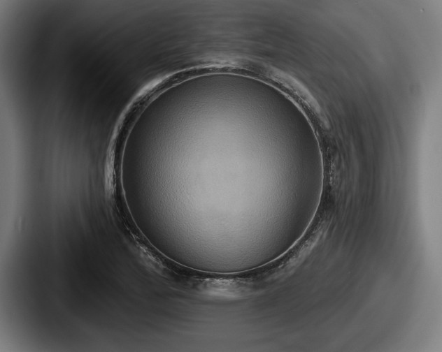 X0000087701172200705111357