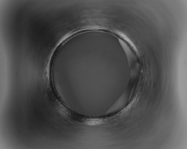 X0000087701173200705111357