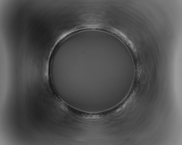 X0000087701174200705111357