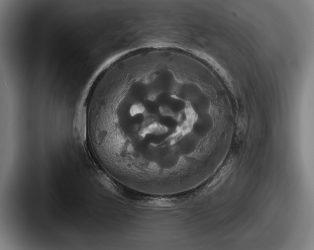 X0000087701175200705111357