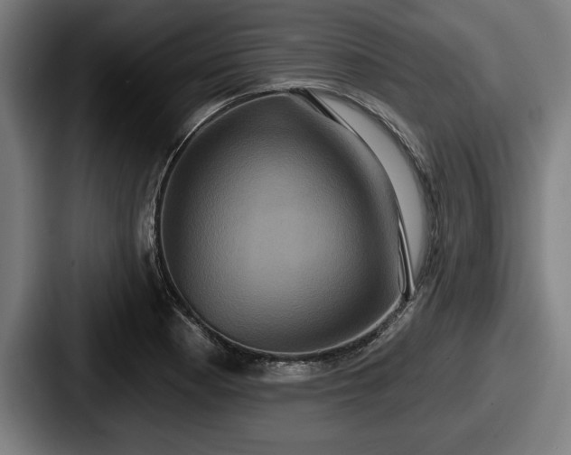 X0000087701177200705111357