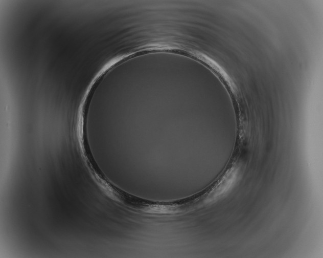 X0000087701179200705111357