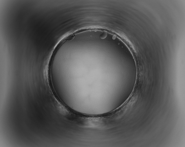 X0000087701181200705111357