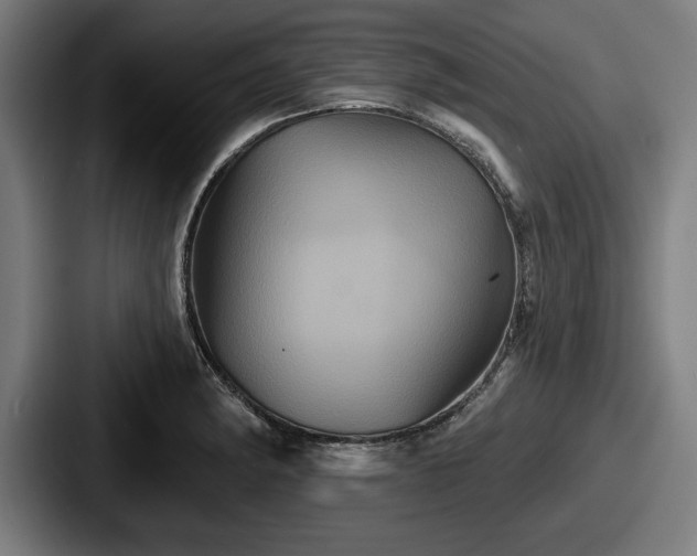 X0000087701182200705111357