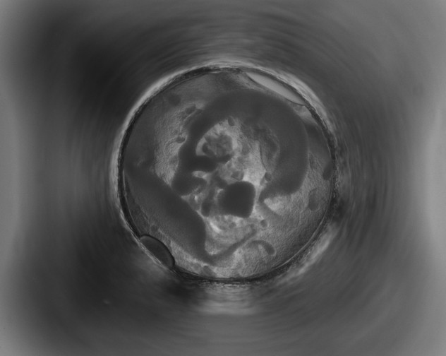 X0000087701183200705111357