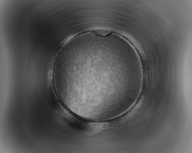 X0000087701185200705111357