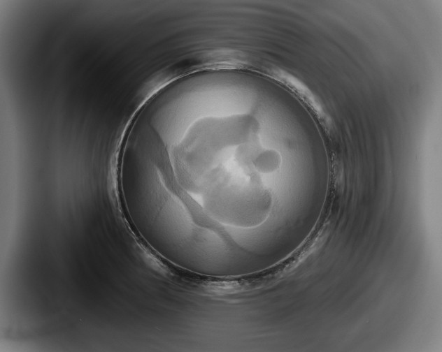 X0000087701186200705111357