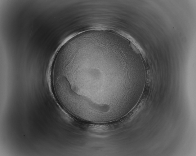 X0000087701187200705111357