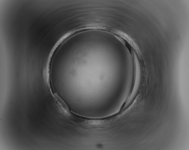 X0000087701188200705111357