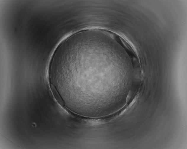 X0000087701189200705111357