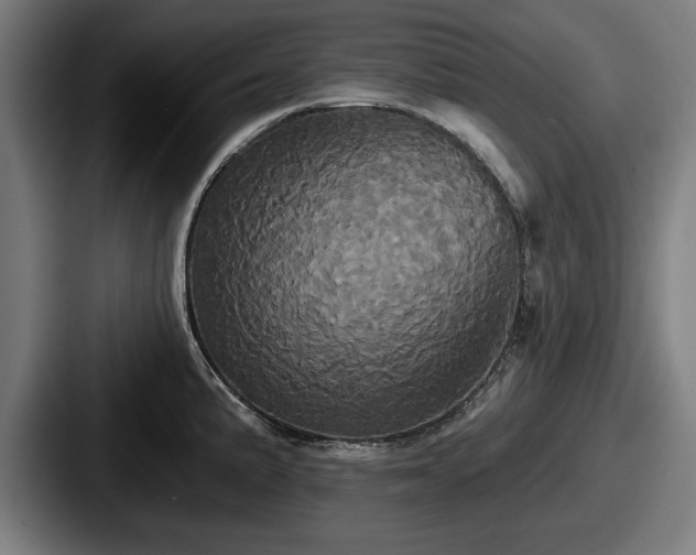 X0000087701191200705111357