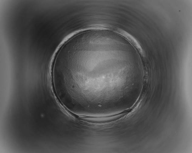 X0000087701192200705111357