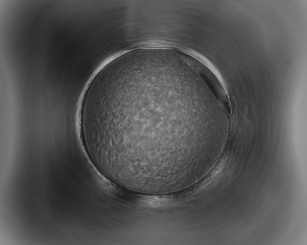 X0000087701195200705111357